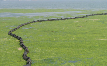 2008年 青岛浒苔拦截工作
